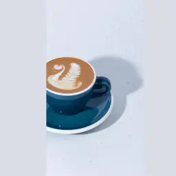 فلات وايت